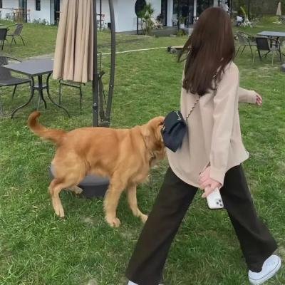 铆钉工萝西的生活与时代
